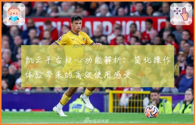 凯云平台核心功能解析：简化操作体验带来的高效使用感受