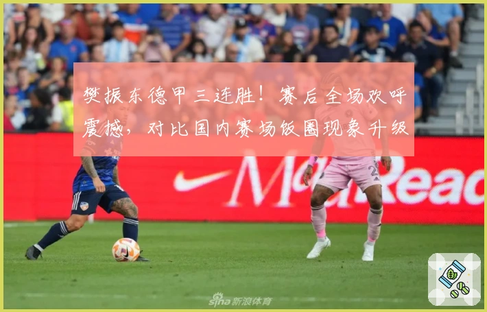 樊振东德甲三连胜！赛后全场欢呼震撼，对比国内赛场饭圈现象升级