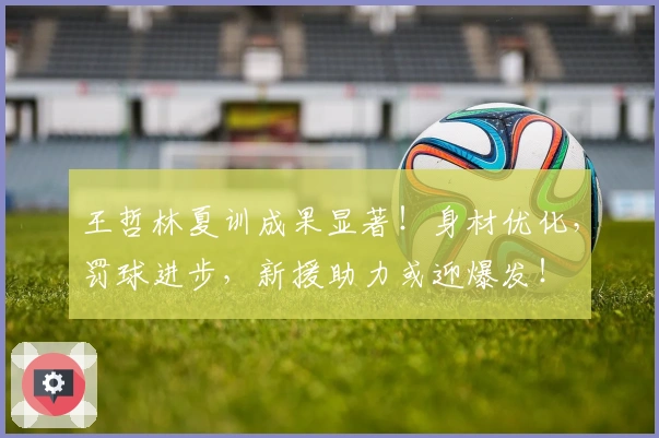 王哲林夏训成果显著！身材优化，罚球进步，新援助力或迎爆发！
