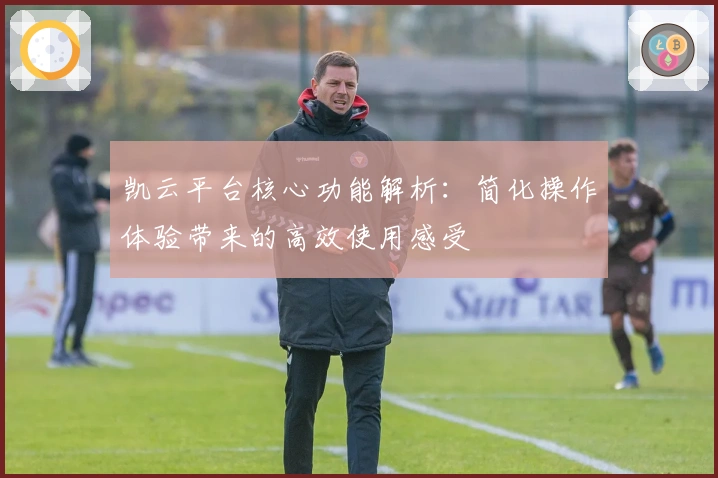 凯云平台核心功能解析:简化操作体验带来的高效使用感受