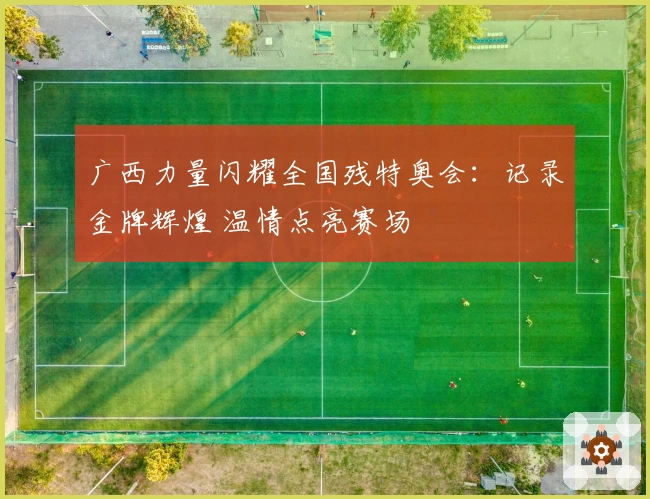 广西力量闪耀全国残特奥会：记录金牌辉煌 温情点亮赛场